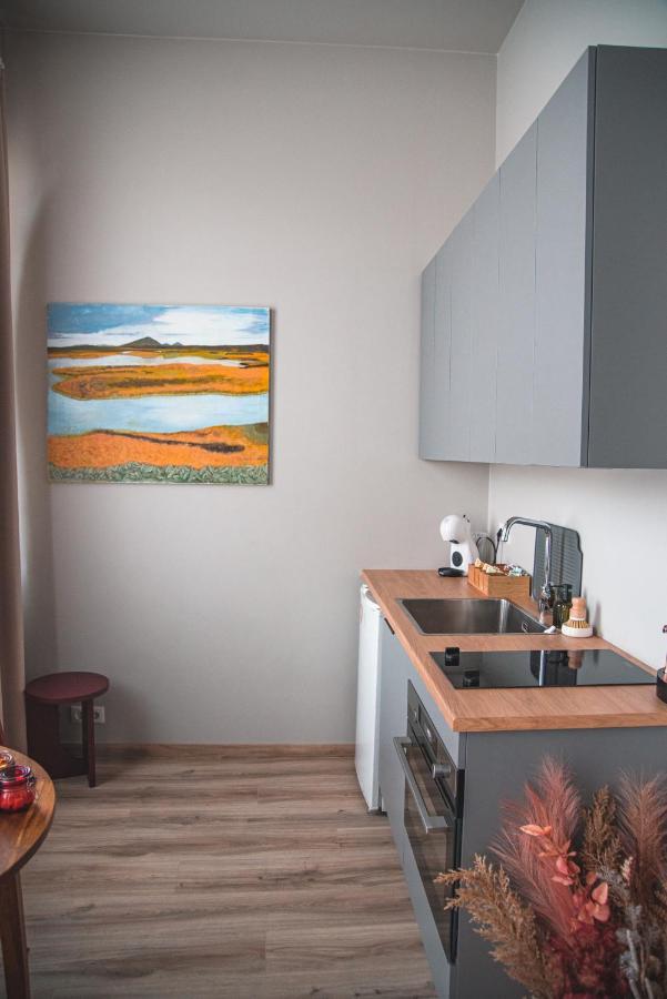 Cozy Studio By The City Centre Lejlighed Reykjavík Eksteriør billede